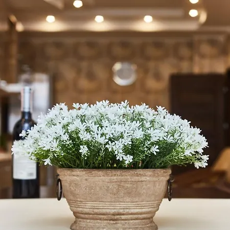 Apartment Family Odesa