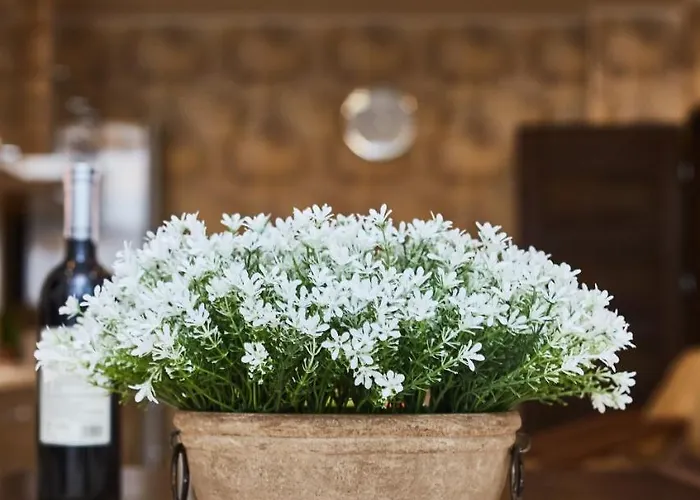 דירה Family אודסה